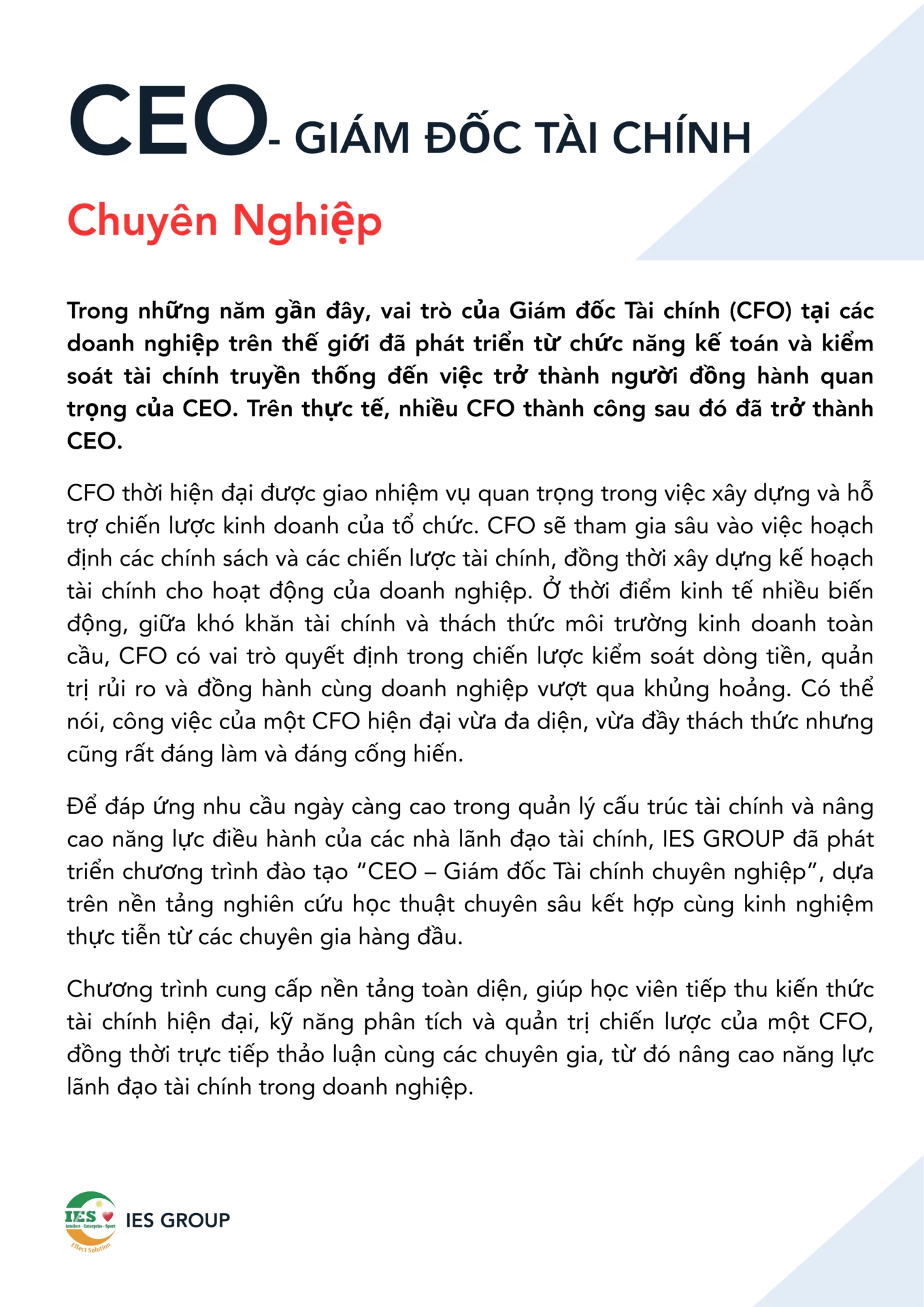 CEO - Giám đốc tài chính