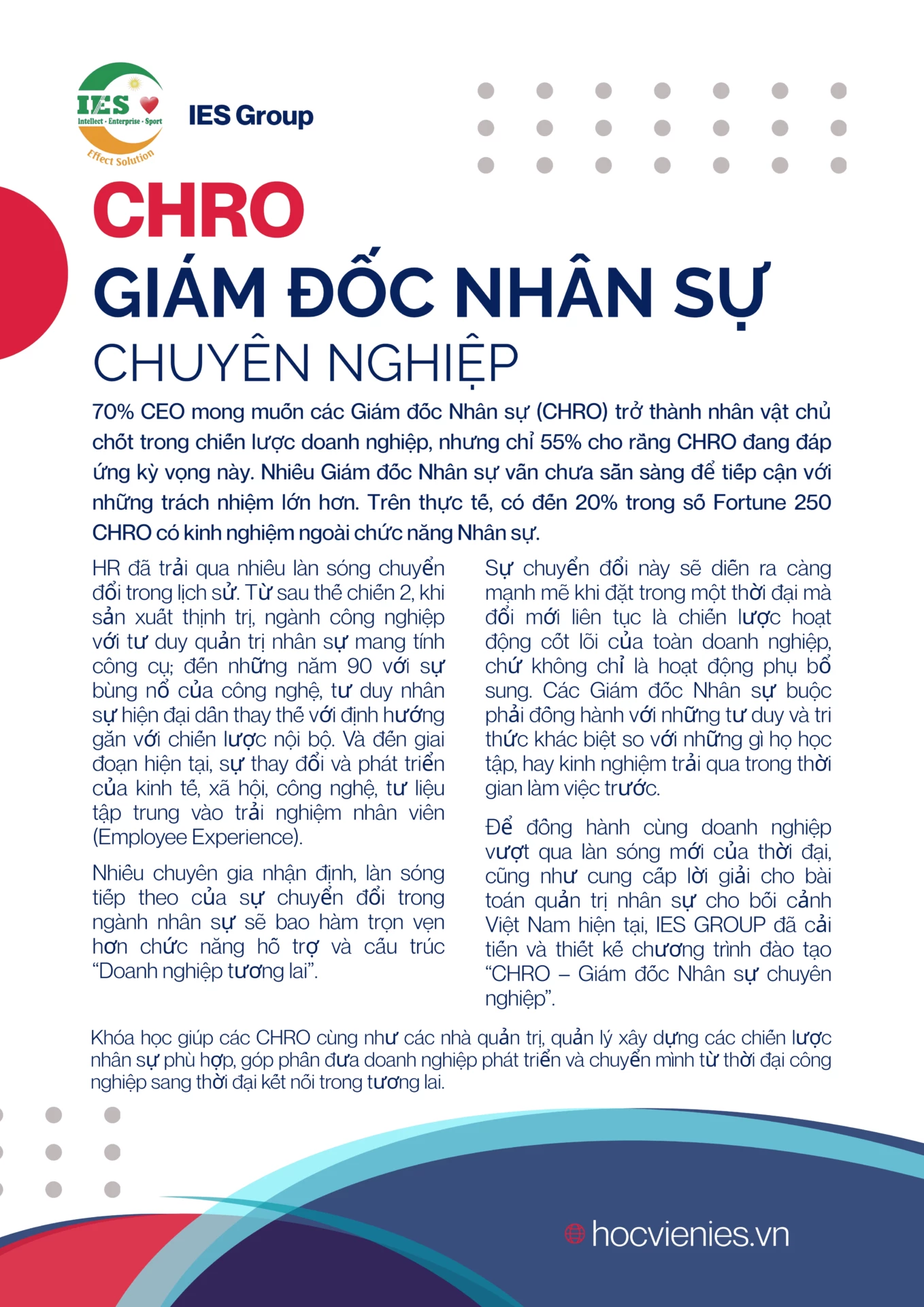 CEO Giám đốc nhân sự chuyên nghiệp